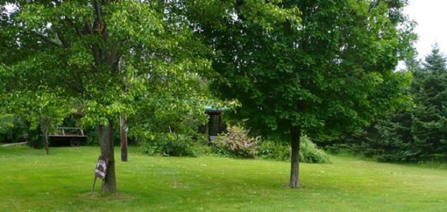 مبيت وإفطار Dundee The South Glenora Tree Farm المظهر الخارجي الصورة